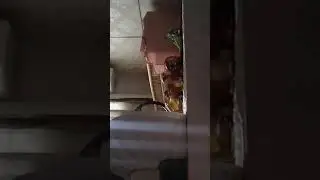 بلبل سيحاني مشروع مخفر