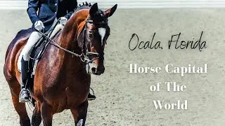 Ocala- Horse Capital of the World