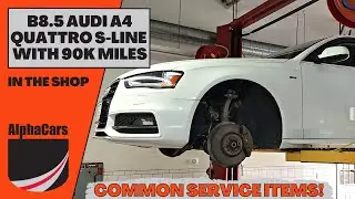 Essential Service Items for Audi B8/B8.5 A4/S4 | AlphaCars Service Center