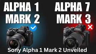 Sony Alpha 7 Mark 1 vs Sony Alpha 1 Mark 2