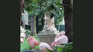 Day 6 - 