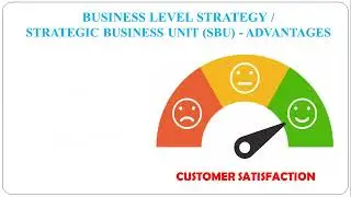 17 -  Business Level Strategy - Strategic Business Unit (SBU)