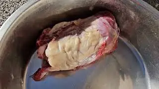 Raw Fat Possum & Chicken: Natural Nutrition for Cane Corso