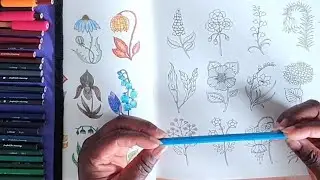Flower colouring from World of Flowers/Exploring colours with Ugamic pencils ✏️ 