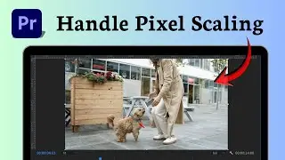 How to zoom in Adobe Premiere Pro (Interface Modification)