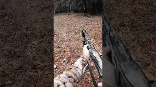 Wood Duck Limit! Late Season Creek Stalk After the Blind | Duck Hunting Dec 28
