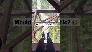 😳 Unreal views walking the New River Gorge Bridge! #traveltips #shorts #newrivergorge