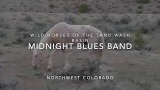Wild Horses of the Sand Wash Basin - Midnight Blue's Band