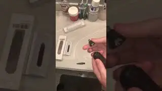 Nose and Ear Hair Trimmer