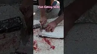 Amazing Fish Cutting Skill ! Clown Knife / Chitol Fish Cutting 🐟🐟