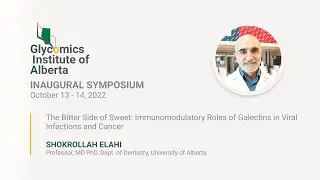 The Bitter Side of Sweet: Immunomodulatory Roles of Galectins | Shokrollah Elahi | GIA2022