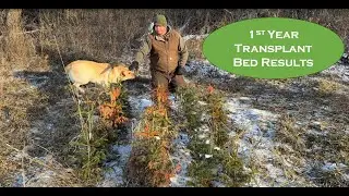 Transplant Bed Update: Survival Rates & Future Expansion Plans