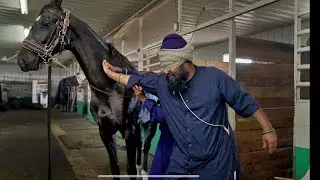 We Paid Him $3000 to Ride a Horse for the First Time !