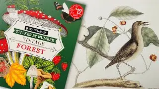 VINTAGE BIRD PRINT | Vintage Forest | STICKER BY NUMBER | Fall Ambiance | NO TALKING