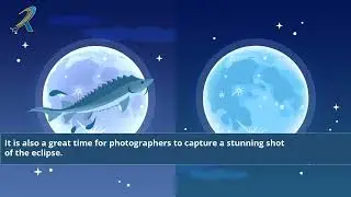 Super Blue Moon 31 Agustus 2023