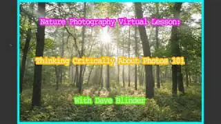 Virtual Photography Program - Thinking Critically About Photos with Dave Blinder