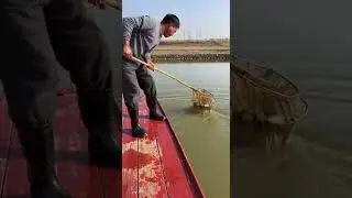 Fishing net | Catch fish. | Outdoor fishing Master the art of net casting