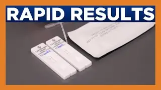 New rapid test detects valley fever in just minutes