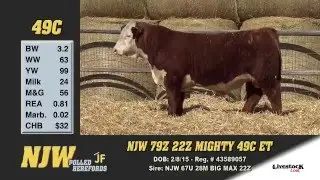 49C