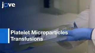 Platelet Microparticles Transfusions Screening | Protocol Preview