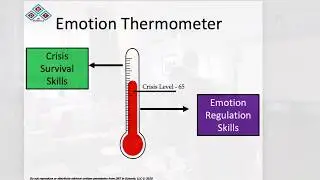 Student Skills for Surviving & Thriving during COVID-19 and Beyond: DBT STEPS-A Check the Facts