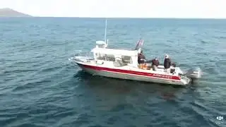 DJI Spark - Ocean Fishing Active Track Mode
