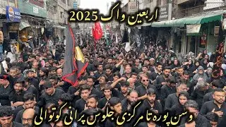 20 safar 2025 | Arbaeen Walk wasanpura To Purani kotwali markazi juloos | 
