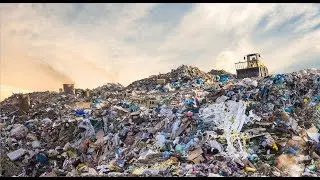 Top 5 plastic-free initiatives by UAE companies (International Plastic-Bag Free Day)