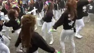 2015.10.10(土)･陶荒田神社･だんじり｢西中｣〈宮入〉(大阪府堺市)