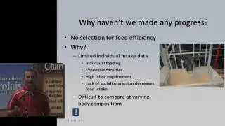 Feed Efficiency Projects at the University of Illinois