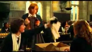 Harry Potter tribute to Phoenix by Fall Out Boy