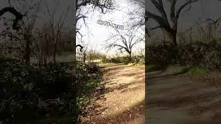 day 456 #3ditking #pov #bike #dailyride