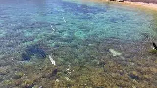 Gozo model sailing boat event in Qbajjar bay.