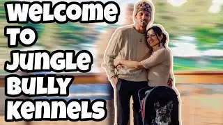 We Are Jungle Bully Kennels | Our Channel Trailer