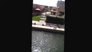 Parakeet Pete's Waterfront Zipline