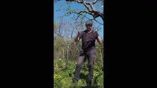 Eier suchen bei den Wildbienen - Die Hummelschweber