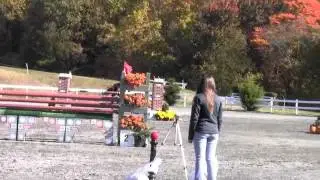 Wundermaske - Show Jumping - Fair Hill - CCI**