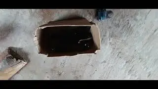 Paguei 10 mil reais nesse uno Mille 2011