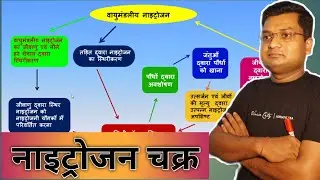 Nitrogen Cycle || Nitrogen fixation || Nitrogen fixation and nitrogen cycle Class 8 Science
