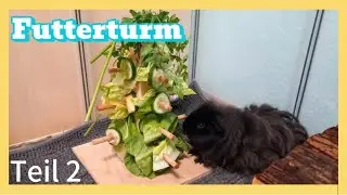 Futterturm testen