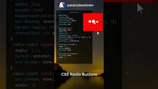 How to Style Radio Buttons in CSS | Professional Guide