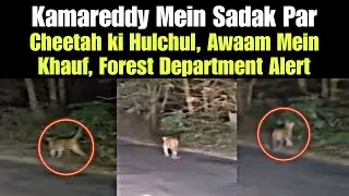 Kamareddy Mein Sadak Par Cheetah ki Hulchul, Awaam Mein Khauf, Forest Department Alert | AHN News
