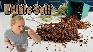 Dirty Delights and Gourmet Gardening: creating Edible soil 😉