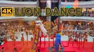 Best Lion Dance🦁 in Sydney: Jin Wu Koon at Market City | Lunar New Year 2026 | 4K60 #liondance   #舞獅
