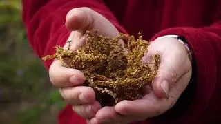 Piter Terres Monviso EcO | CENTRI DI RICERCA - Cosa fanno e a cosa servono i Centri di ricerca
