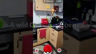 Pokemon Go - catching Chimchar#chimchar #pokemongo #pokemon #games