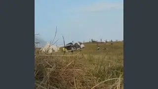 Wonderful Wave