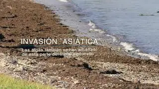 EED - Chinarral