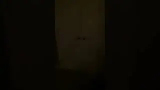 7AM Sharp, Canine Alarm Clock