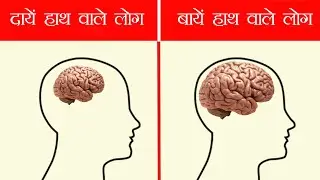 दायें और बाएँ हाथ वालों में से कौन ज्यादा बुद्धिमान || left hand vs right hand